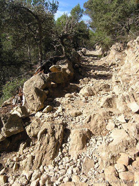 2006_11_23 11_38_26 OLYMPUS DIGITAL CAMERA         